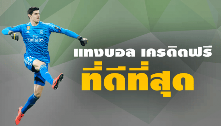 เว็บแทงบอล ได้เงินจริง
