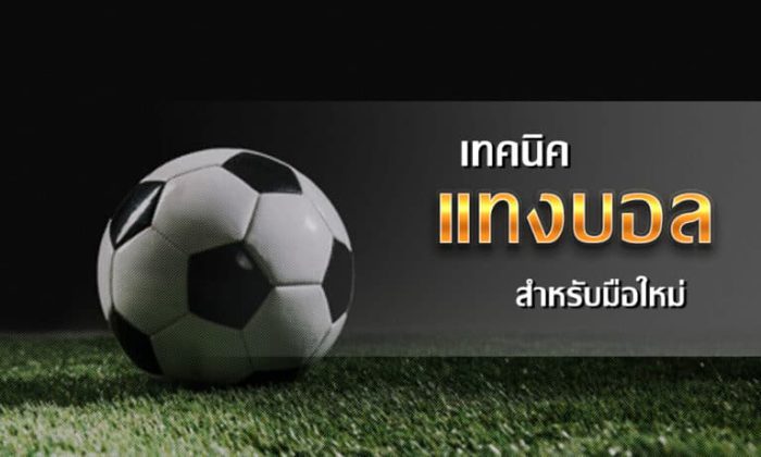 เว็บตรงแทงบอล